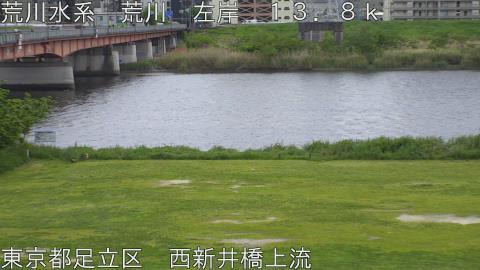 arani2026042513_image