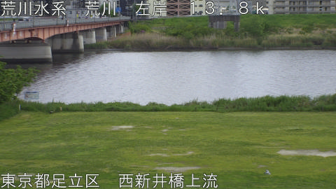 arani2026042514_image