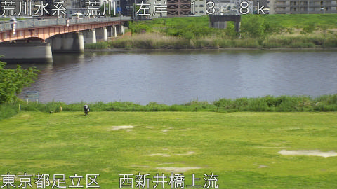 arani2026042515_image