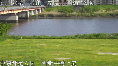 arani2026042516_image