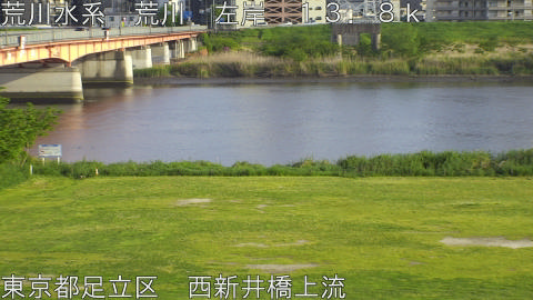 arani2026042517_image