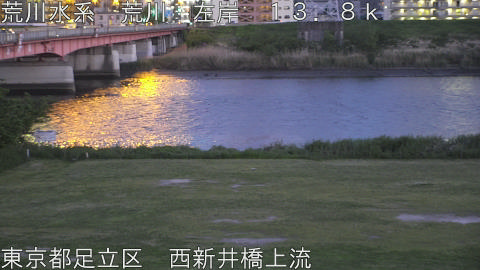 arani2026042519_image