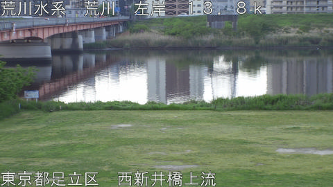 arani2026042606_image