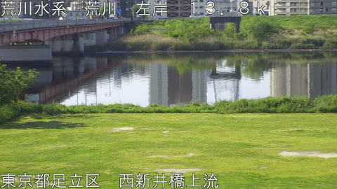 arani2026042608_image