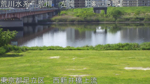 arani2026042609_image