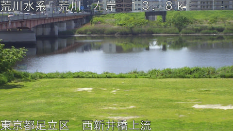 arani2026042610_image