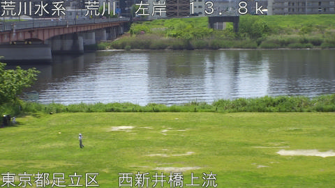 arani2026042611_image