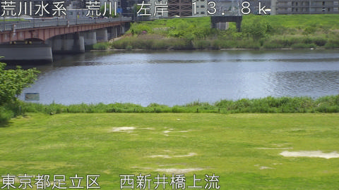 arani2026042612_image