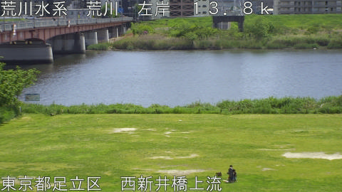 arani2026042613_image