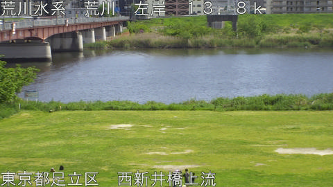 arani2026042614_image