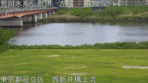 arani2026042615_image