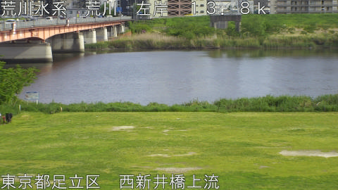 arani2026042616_image