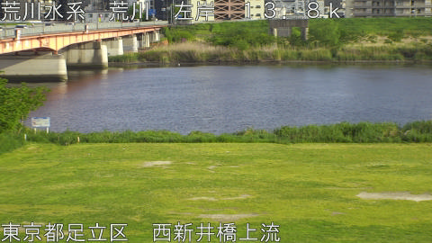 arani2026042617_image