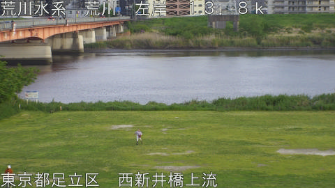 arani2026042618_image