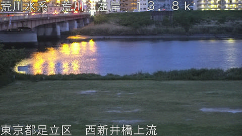 arani2026042619_image