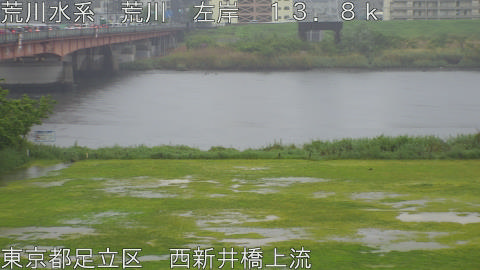 arani2026042709_image