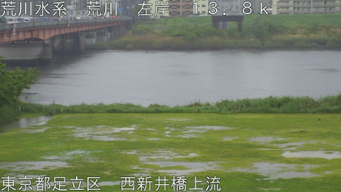 arani2026042710_image