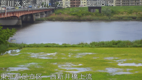 arani2026042711_image