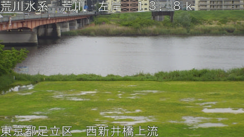 arani2026042712_image