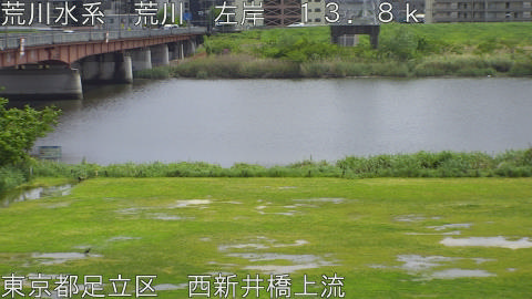 arani2026042713_image