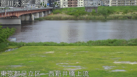 arani2026042715_image