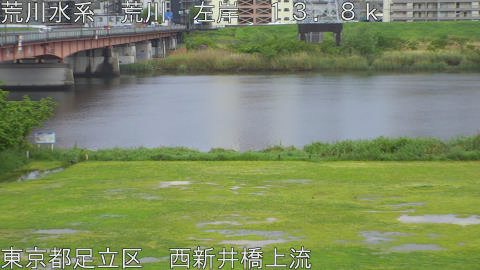 arani2026042717_image