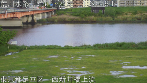 arani2026042718_image