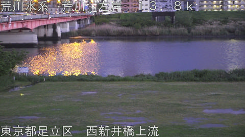 arani2026042719_image