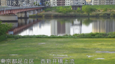 arani2026042806_image