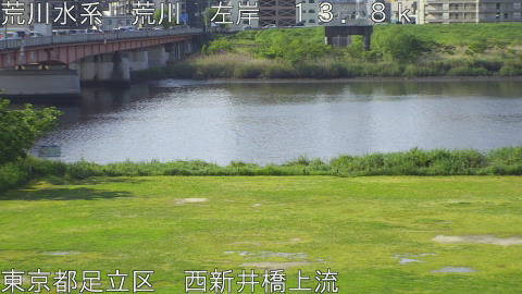 arani2026042808_image