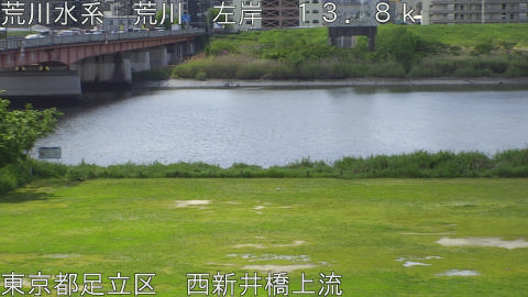 arani2026042810_image