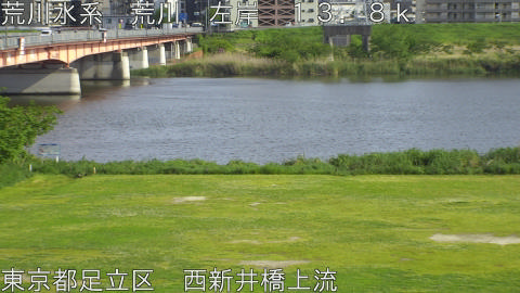 arani2026042816_image