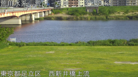 arani2026042817_image