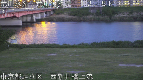 arani2026042819_image