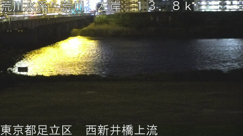 arani2026042822_image