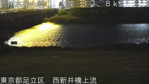 arani2026042823_image