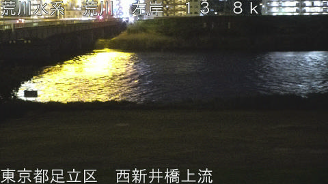 arani2026042900_image