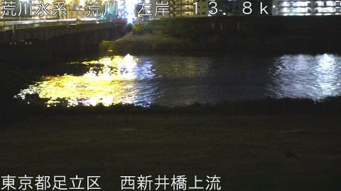 arani2026042901_image