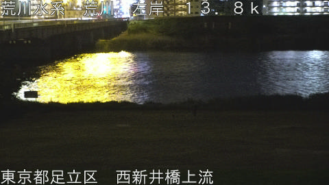 arani2026042902_image