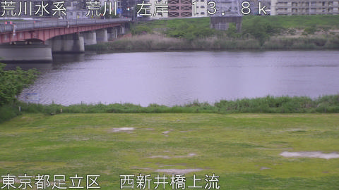 arani2026042906_image