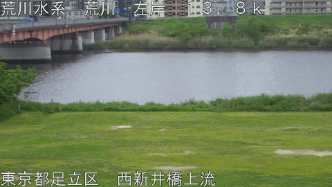 arani2026042907_image