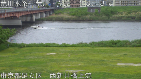 arani2026042908_image