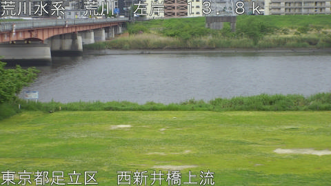 arani2026042909_image