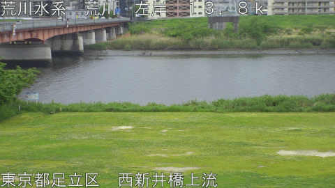 arani2026042910_image