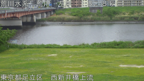 arani2026042911_image