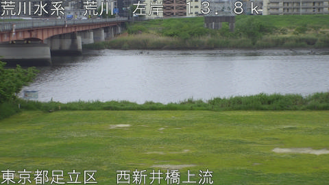 arani2026042912_image