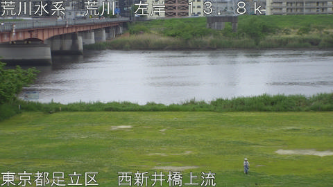 arani2026042913_image