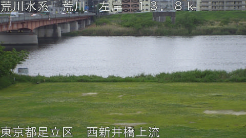 arani2026042916_image