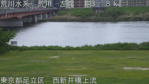 arani2026042917_image