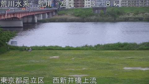 arani2026042918_image